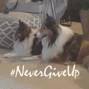 Meet your Posher, Sharon